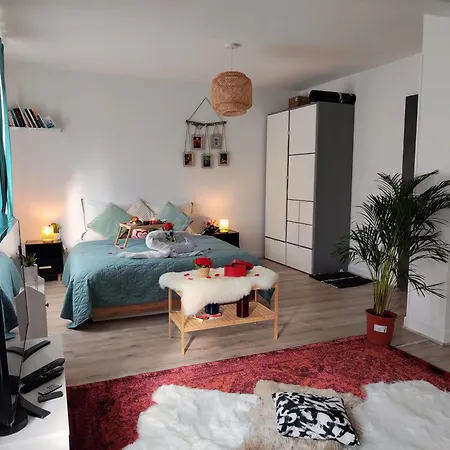 Romantic Cocon In Appartement Mulhouse