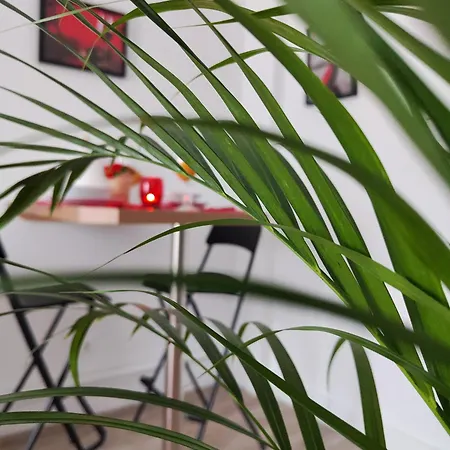 Appartement Romantic Cocon In *