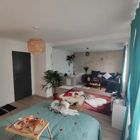Romantic Cocon In Appartement Mulhouse